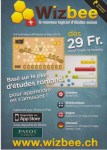 wizbee_2