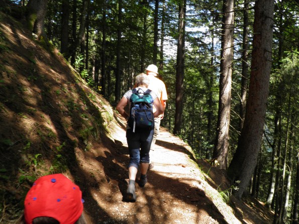 Et maintenant, nous sommes en forêt !