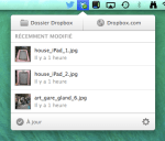 selective_dropbox_1