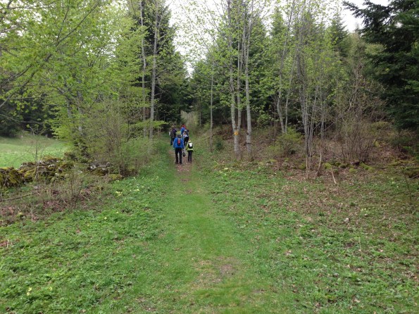 nettoyage_givrine_10