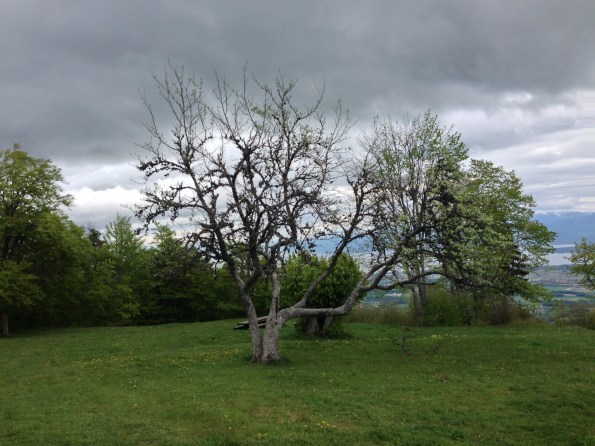 nettoyage_givrine_18