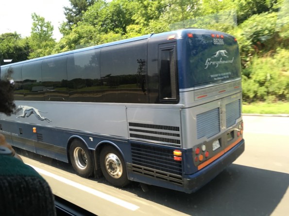 Bus_NY_DC_4