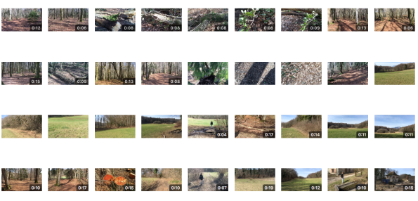 Filmer_Bois_de_Chenes