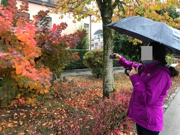 couleurs automne - 1.jpg