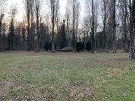 momument-davel-1